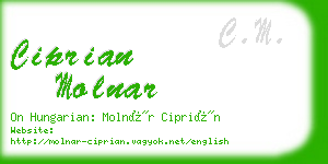 ciprian molnar business card